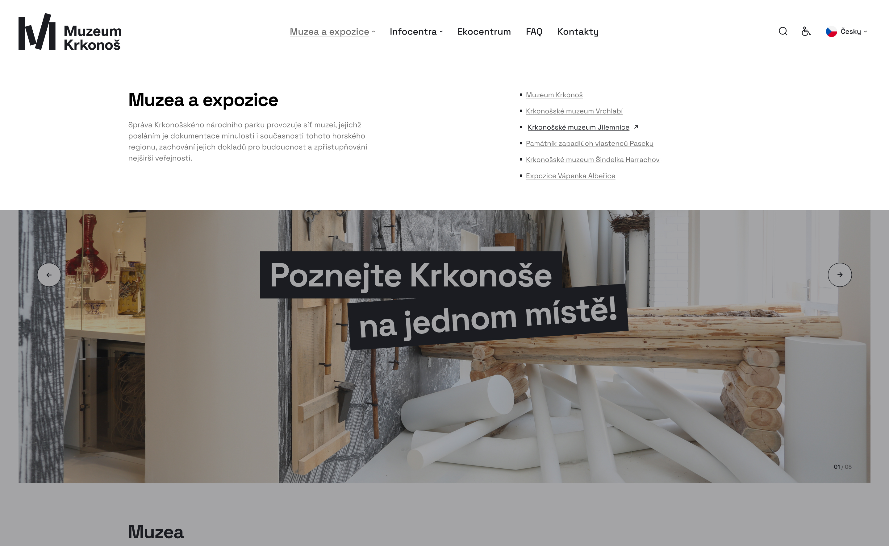 Wordpress programátor, kodér šablon